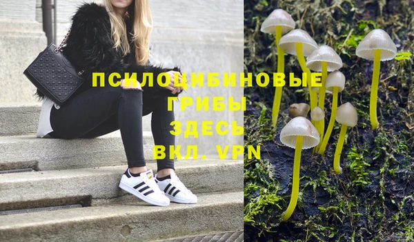 ГАЛЛЮЦИНОГЕННЫЕ ГРИБЫ Абдулино