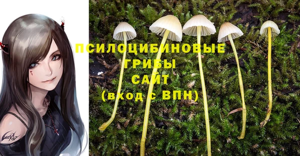 мдпв Абинск