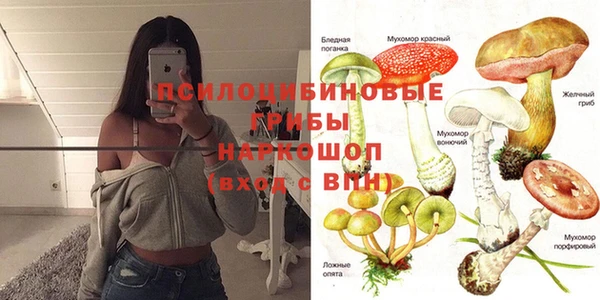 каннабис Абаза