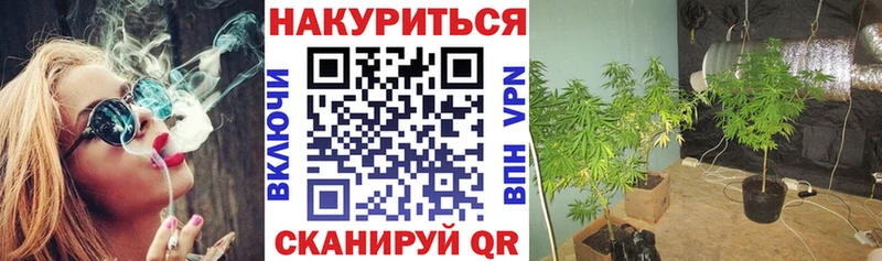 Шишки марихуана OG Kush  где купить   Рославль 